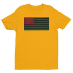 AFRICAN AMERICAN FLAG